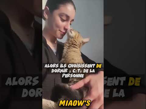 Signes que votre