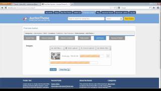 Auction Theme - Radius Search, Post Auction