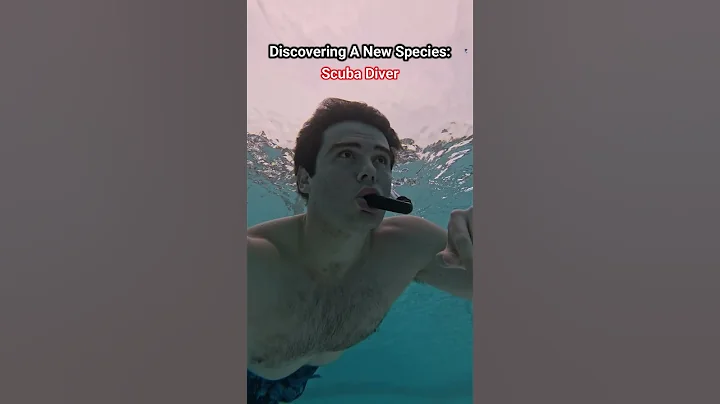 Every Horror Movie Watcher Knows This.