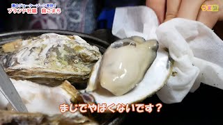 「高級ブランド牡蠣 桃こまち」と一般の牡蠣の味の違いを検証