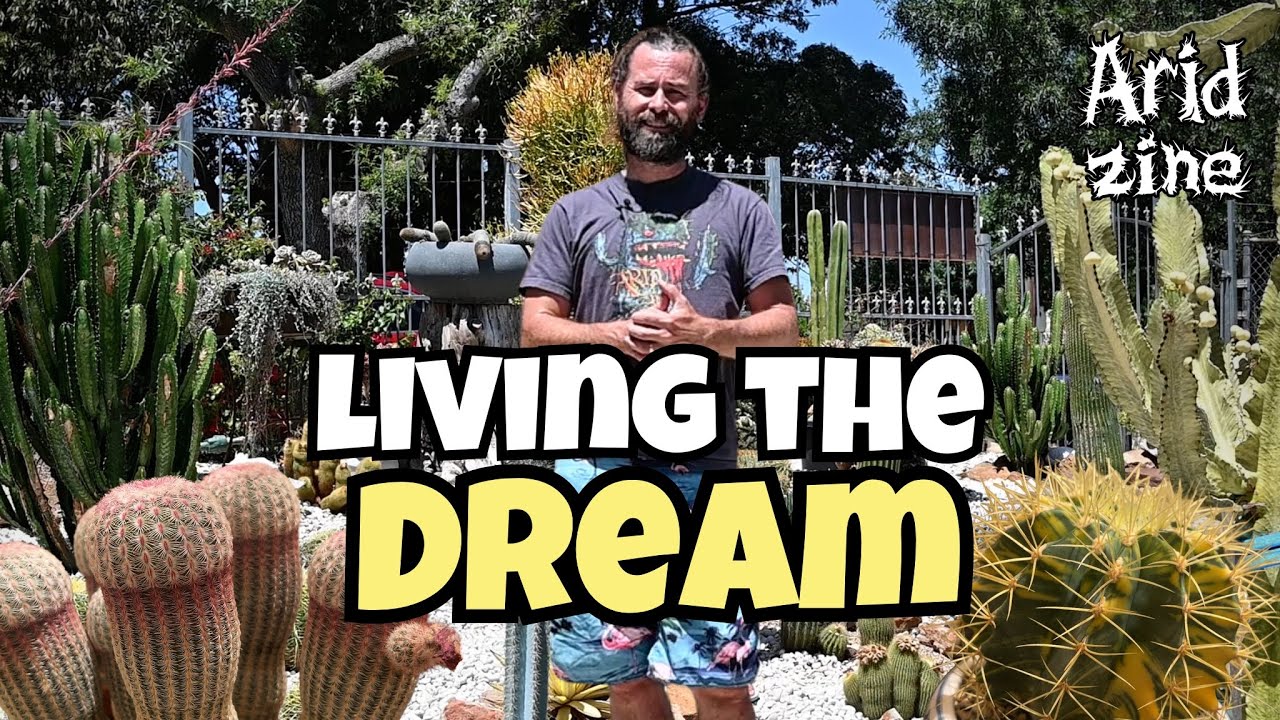 A Cactus Obsession Transformed into a Suburban Nursery