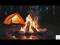 Night Camping ASMR 🔥 Warm Fire, Forest Sounds & Cozy Tent Ambience