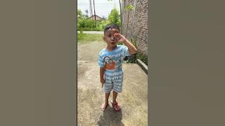 Tondy's sandal is missing, but it turns out it's behind him #funny #comedy #funny #laughing #shor...