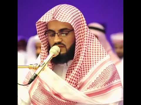 قالوا تالله تفتؤا تذكر يوسف
