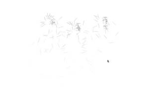 Processing Sketch