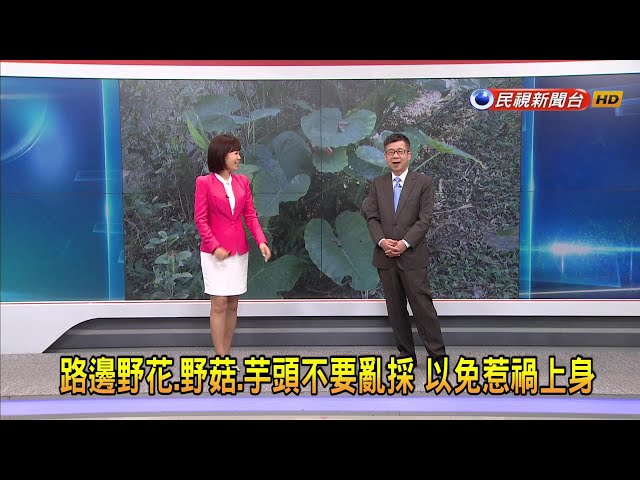 2023/11/2 【早安嘉芬】路邊野花、野菇、芋頭不要亂採 以免惹禍上身－民視新聞