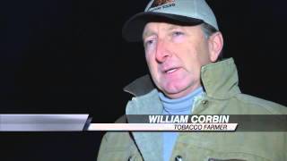 Cvs Stores Closing Doors To Tobacco Products Local Impact On Farmers--Mikayla Lewis