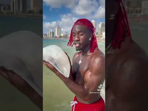 Love Animals Stop Killing Them Laissez Les Animaux Vivre חיה נחמדה שעוקצת בלי לרצות 