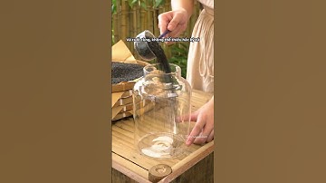 NUÔI DƯỠNG TÓC CHẮC KHỎE CÙNG TRÀ NGŨ HẮC AN NHIÊN