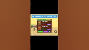 HURRY BURNING BUD OUT RIGHT NOW!! #roblox #growagarden #shorts