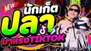 #เพลงแดนซ์ฮิตในtiktok ★นักเก็ตปลา - Makeba★ มาแรงในTiktok วัยรุ่นฮิต!! | DANCETAMJAi