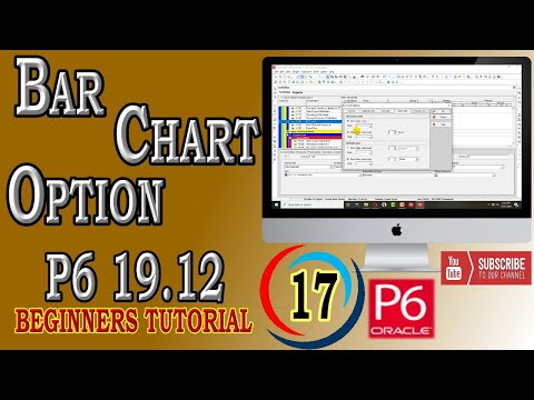 how-to-format-bar-chart-option-|-primavera-p6-|-19.12-|-beginners-tutorial
