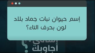 لعبة اسم حيوان نبات جماد بلاد لون بحرف التاء