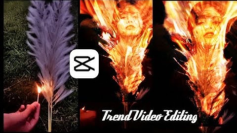 TikTok & Likee New Trending Video Editing in CapCut Apps Bangla Tutorial | CapCut Video Editing