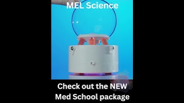 MEL Science