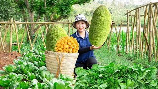 Harvesting Jackfruit and vegetables in the garden to the Market to Sell ! Lucia's daily life