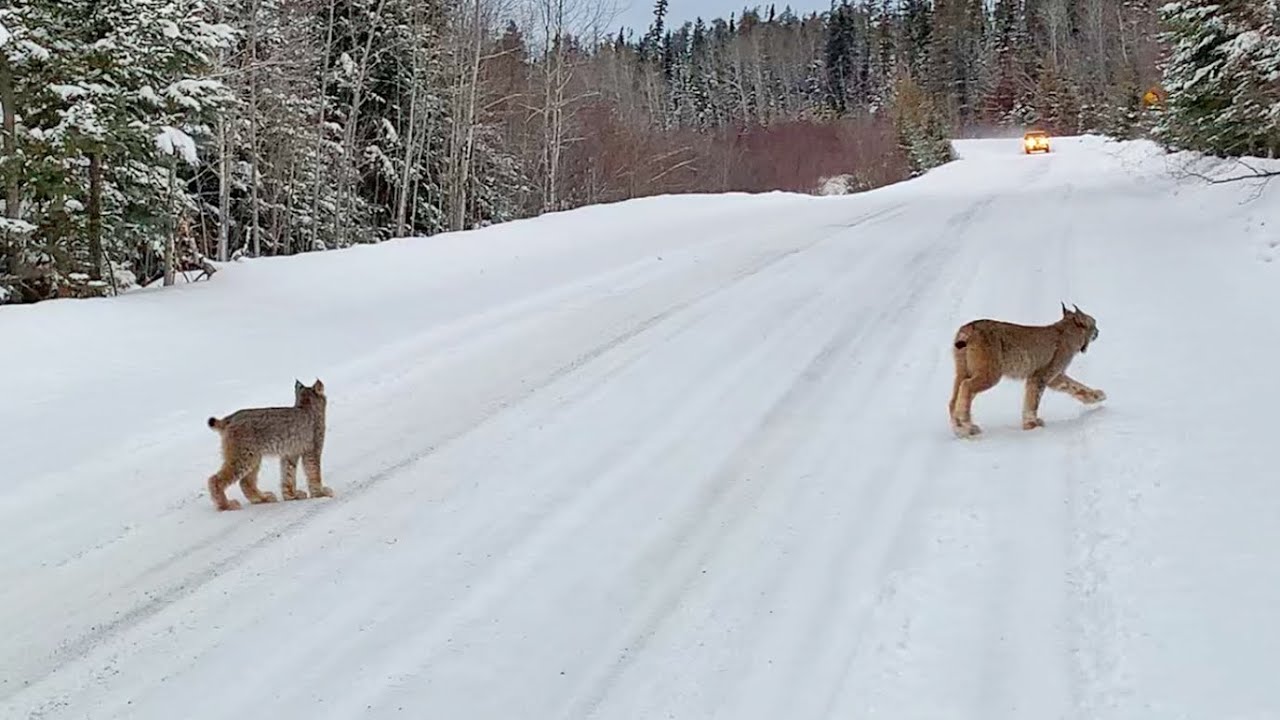 A beautiful place to visit during Canadian winter, Manitoba’s Nopiming provincial park, tulabi falls