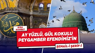 Ay Yüzlü, Gül Kokulu Peygamber Efendimiz