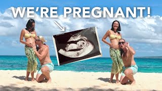 WE’RE PREGNANT! | our pregnancy journey 🤰🏽 by Avelovinit 128,745 views 6 months ago 24 minutes