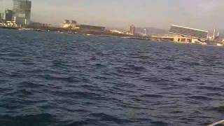 22012010.mp4