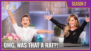 [Full Episode] OMG, Was That a Rat?!