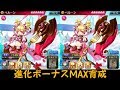 【ファンキル】バレンタインのペルーンを進化ボーナスMAXで育成