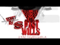 Past Wills - Minha África (2017) (Mixtape 2 Pac Nganguela)