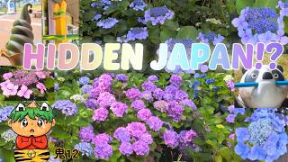 Hidden Japan!? 🌿🍦 Utsubuna Park & Roadside Station Nanbu | Anime Oni Travel Vlog 🇯🇵 #Japan #Travel screenshot 3