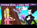 Uyuyan Güzel ve Kara Peri | Adisebaba Masallar