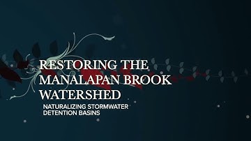 Restoring the Manalapan Brook Watershed - Stormwater Basin Naturalization Projects