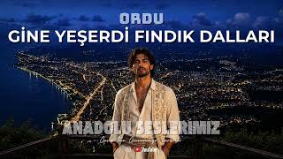 Gine Yeşerdi Fındık Dalları - Ordu Türküsü Anatolian Rock Cover