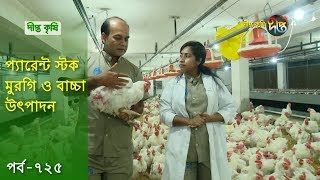 Deepto Krishi/দীপ্ত কৃষি: প্যারেন্ট স্টক মুরগি ও বাচ্চা উৎপাদন | নাহার এগ্রো চট্টগ্রাম | deepto tv