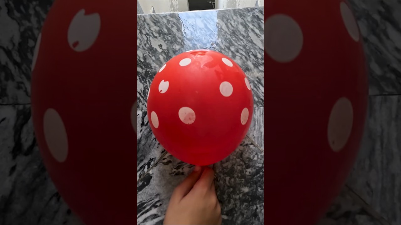 POV: Red Polka Dot Balloon VS Yellow Zebra Balloon Drop Test 💦🎈 | ASMR Satisfaction in 4K