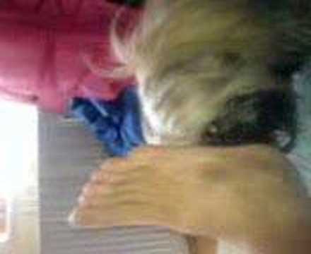 fuß fetisch - YouTube fuß fetisch - YouTube