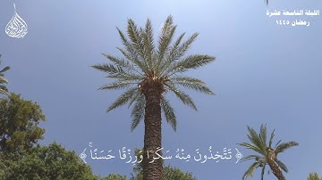 آيات الله في خلقه 🤍| ما تيسر من سورة النحل - رمضان 1445