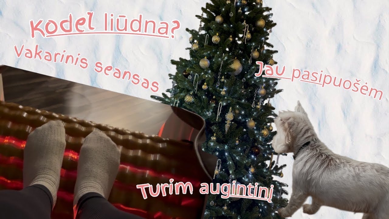 Vlog🤩Kodėl liūdna?🫩Jau pasipuošėm🎄Turim augintinį🐶Vakarinis seansas😊✨