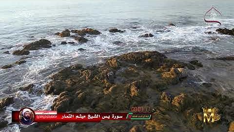 سورة يس الشيخ ميثم التمار