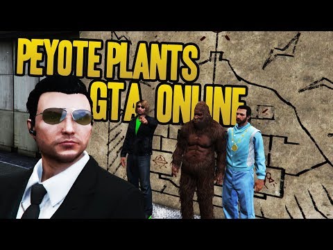 Видео: THE PEYOTE HUNT IN GTA ONLINE! (GTA 5 Mystery)