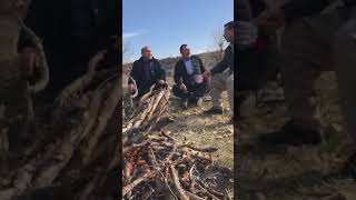 Hunermend Hekim Nizori