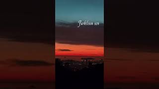 Anlamadın Anlama Sen