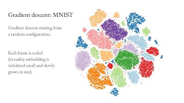 Дмитрий Кобак  «Contrastive and neighbor embedding methods for data visualization»