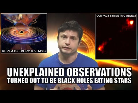 Tidal Disruption Event Updates: Strange Examples of Black Holes Eating Stars