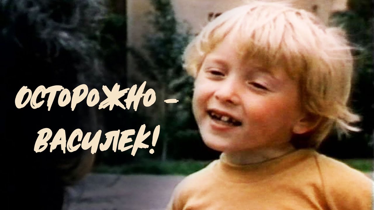 Осторожно - Василек! (1985) | Фильм для семейного просмотра