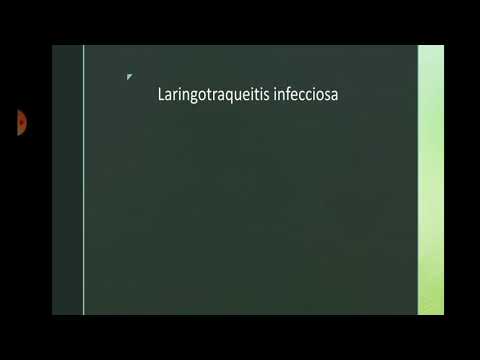 Video: Infecciones Por Poxvirus En Aves