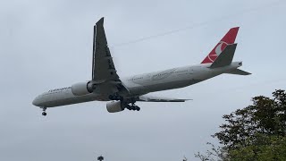 Epic Turkish Airlines Boeing 777-300Er Tk1979 Landing At London Heathrow 27L