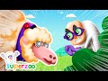 NEW! The Superzoo team has to stop Spooky&#39;s zombie sheep