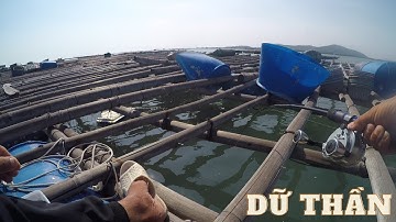 109/ Câu IKADA thì phê thiệt , mà nhiều hôm xui hay bong với xảy cá cũng cay lắm / IKADA FISHING