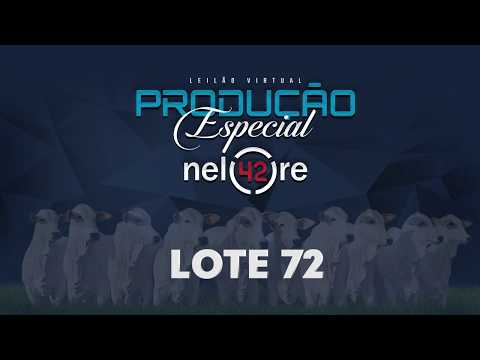 LOTE 72