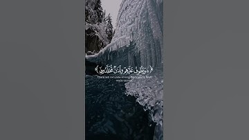 عينا فيها تسمى سلسبيلا 💖 | أجمل تلاوة للقرآن الكريم #quran​ #قران_كريم​ #راحة_نفسية​ #تلاوة_خاشعة​