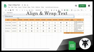 Google Sheets Beginners:  Align & Wrap Text  (2)